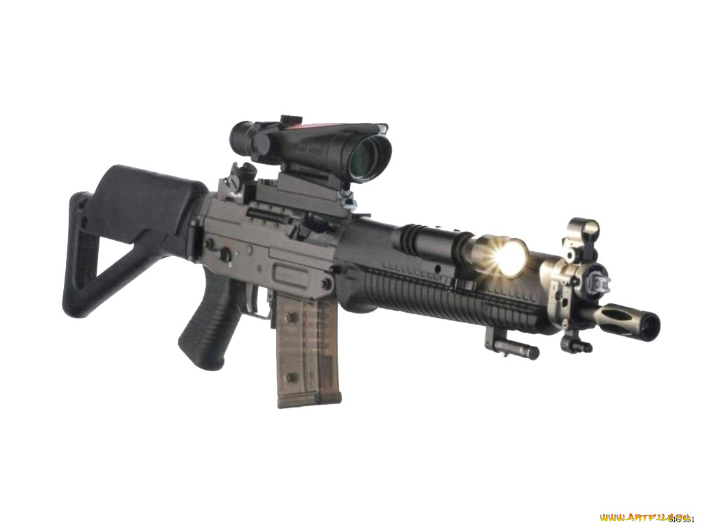 sig, 551, , 